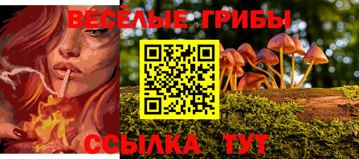 Псилоцибиновые грибы прущие грибы Лысьва