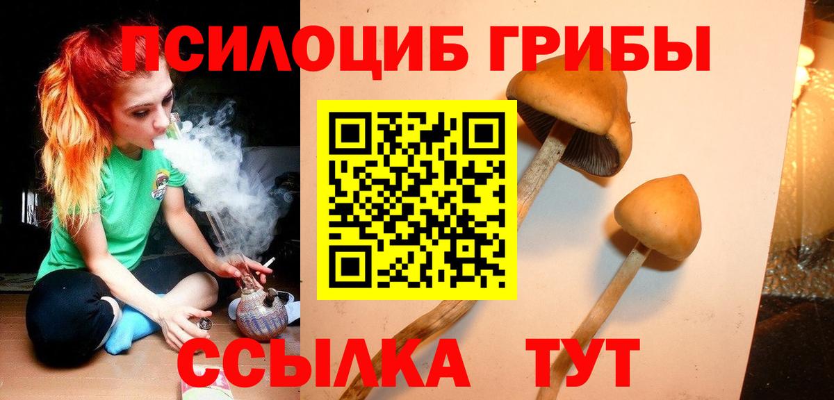 Лысьва  Галлюциногенные грибы Cubensis  Вход с VPN  наркотики  Галлюциногенные грибы Psilocybine cubensis 