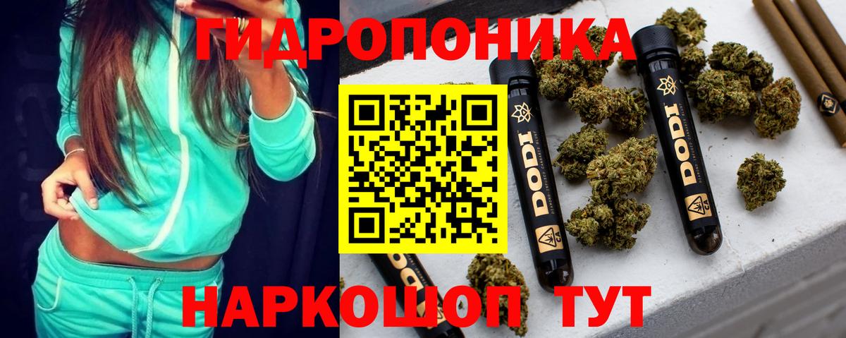 Конопля Amnesia  Бошки Шишки индика  Вход с VPN  Лысьва 